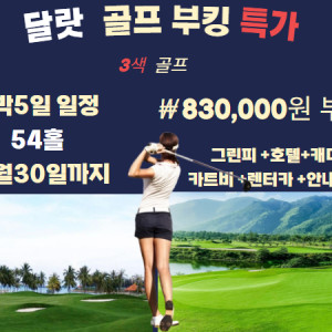 달랏 3색 골프
